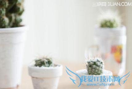 孕早期电脑前放什么植物可以防辐射 52IJ母婴教育