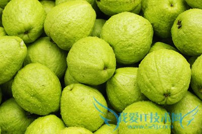 准妈妈早期吃番石榴好吗 52IJ母婴教育