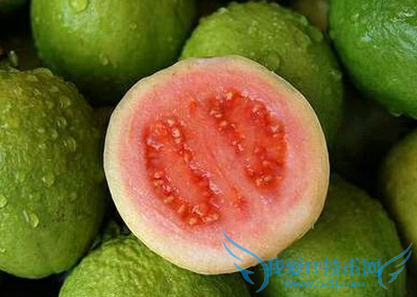 иԳԷʯ?   52IJĸӤ