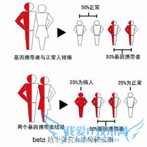 地中海贫血能生育吗 52IJ母婴教育