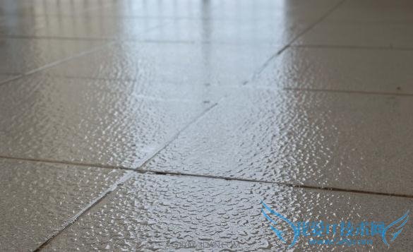 עˤ          52IJĸӤ