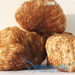 孕妇能吃猴头菇吗 52IJ母婴教育