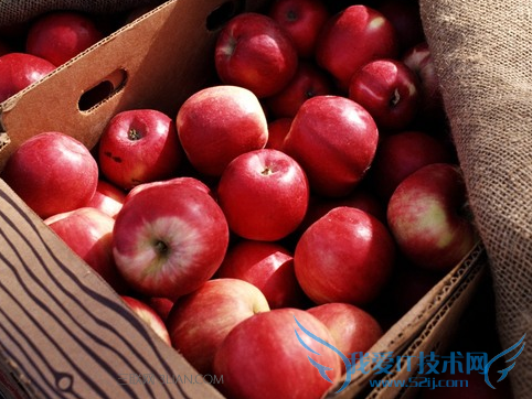 孕妇营养不良吃什么水果 52IJ母婴教育