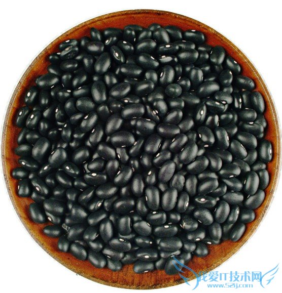 иԳԺڶ--52IJĸӤĶ www.3lian.com