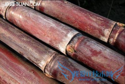 孕妇可以吃甘蔗吗 52IJ母婴教育