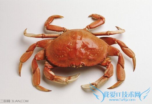 ڼ䲻Ҫ18ʳ       52IJĸӤ