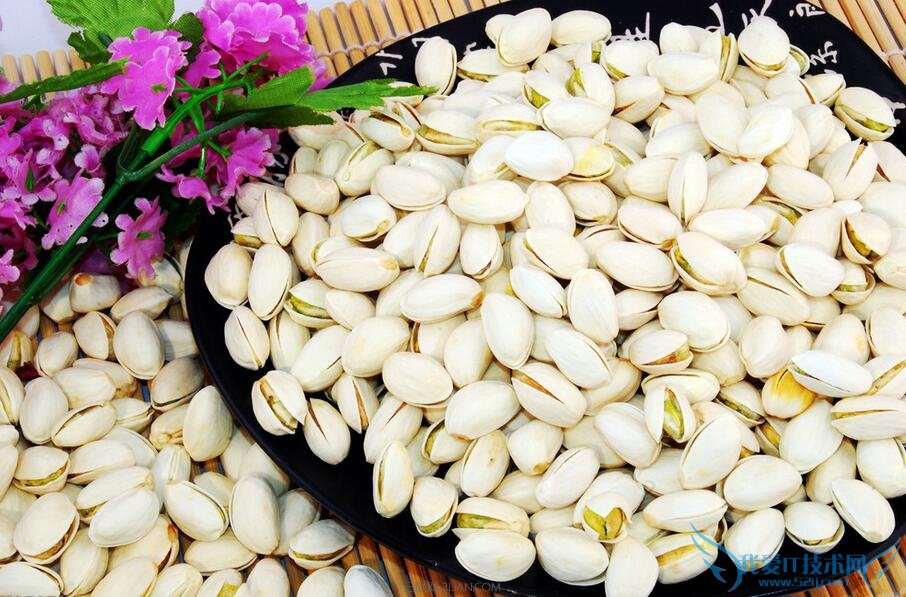 孕妇能吃开心果吗 52IJ母婴教育