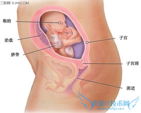 ʱƯҪעϸ΢仯 52IJĸӤ