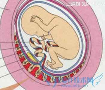 ֲ̥֢״          52IJĸӤ