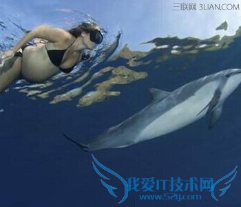 иӾĺô     52IJĸӤ