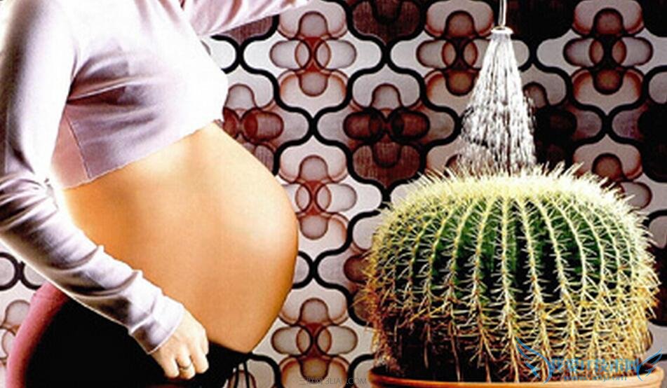 ʹĲʹ ʹעЩ 52IJĸӤ