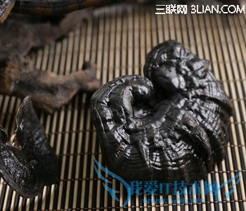 孕妇吃什么颜色的灵芝好 52IJ母婴教育