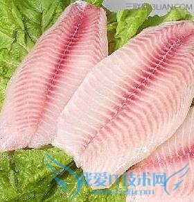 孕妇如何补充DHA 52IJ母婴教育