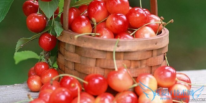 孕妇可以吃龙眼吗 宜吃水果盘点