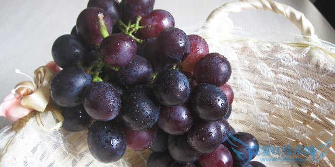 孕妇可以吃龙眼吗 宜吃水果盘点