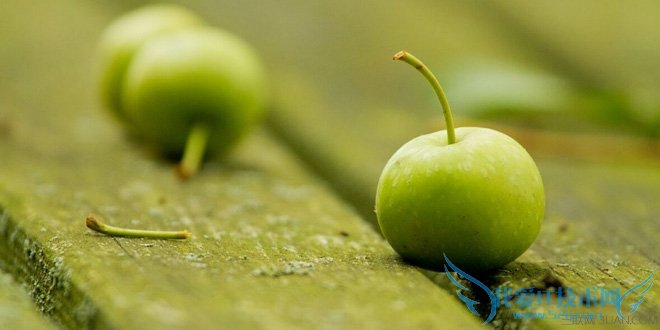 孕妇可以吃龙眼吗 宜吃水果盘点