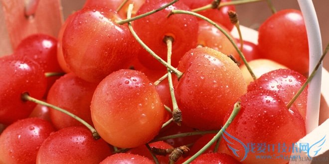 孕妇可以吃龙眼吗 宜吃水果盘点