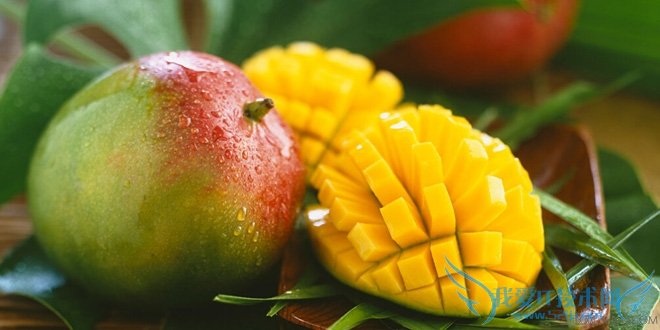 孕妇可以吃龙眼吗 宜吃水果盘点