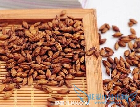 孕妇为什么不宜饮用大麦茶 52IJ母婴教育