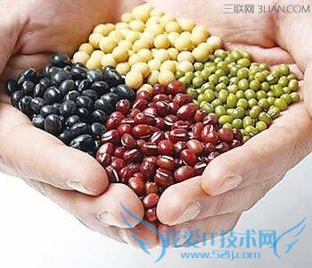 ӦЩʳ      52IJĸӤ