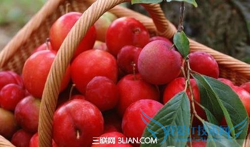 保护胎儿健康五种美味孕期要禁食 52IJ母婴教育