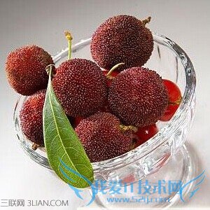 孕妇可不可以吃杨梅 52IJ母婴教育