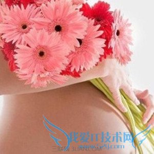 иʳ            52IJĸӤ