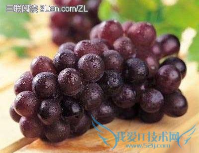 春季孕妇吃什么水果最好 52IJ母婴教育