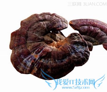 иԳ֥           52IJĸӤ