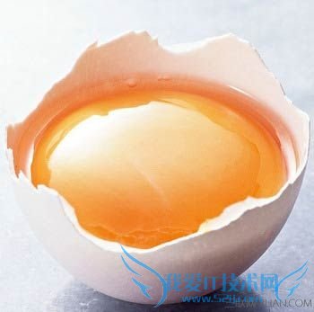 孕妇多吃什么有益于胎儿智力 52IJ母婴教育