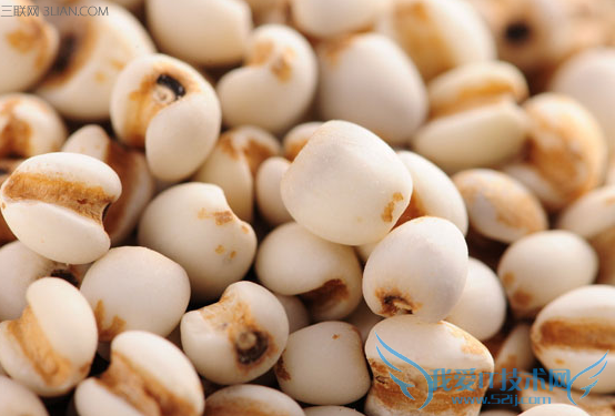 容易流产的食物 52IJ母婴教育