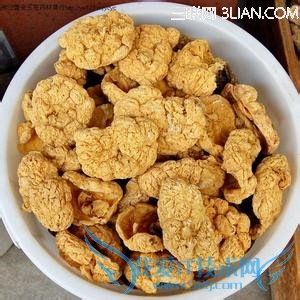 ̥Ʋ          52IJĸӤ