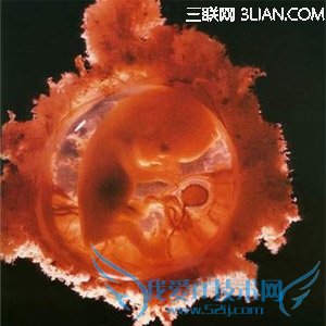 ̥ʲô        52IJĸӤ