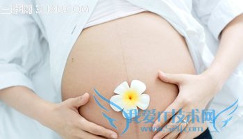 иðĦƷ           52IJĸӤ