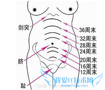 ¹¬¸ßÊÇʲôÒâ˼ 52IJĸӤ½ÌÓý