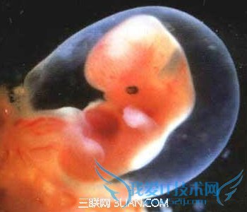 ҴСʲô           52IJĸӤ