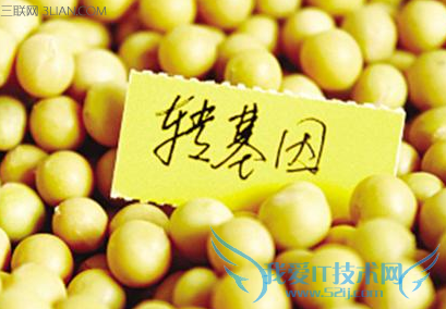 иܲܳתʳ  52IJĸӤ