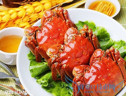 иܶԵʳＰˮ          52IJĸӤ