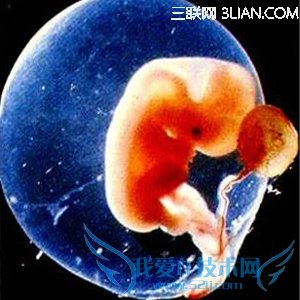 ̥ô            52IJĸӤ