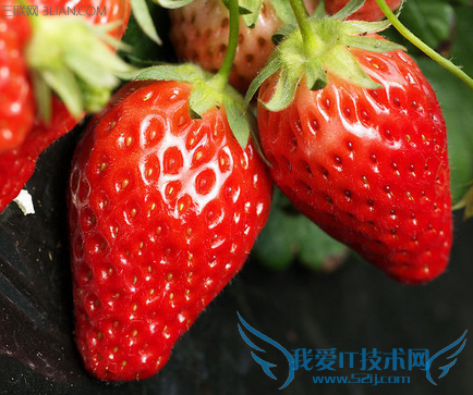 孕妇适合吃哪些蔬菜,水果 52IJ母婴教育