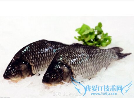 孕期水肿如何缓解 52IJ母婴教育