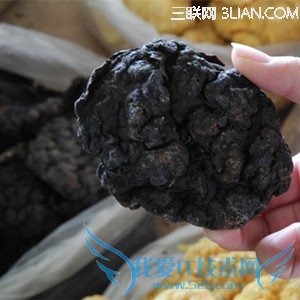 ̥ʲôô            52IJĸӤ