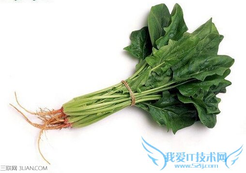 �и��ܳԲ�����      52IJĸӤ����