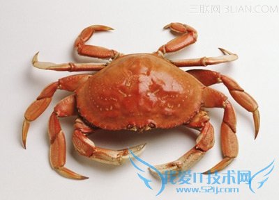 孕期保胎5大食物不能碰 52IJ母婴教育