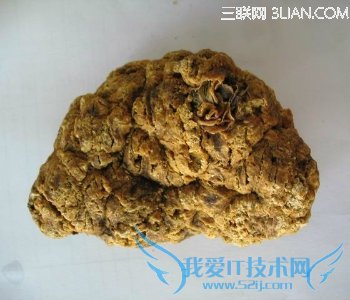 ÈËÌ¥Å̵Ĺ¦Ð§Óë×÷Óà 52IJĸӤ½ÌÓý