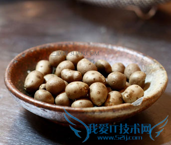 Ôи¾¿ÉÒÔ³Ôɽҩ¶¹Âð 52IJĸӤ½ÌÓý