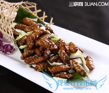 孕妇吃蚕蛹的好处 52IJ母婴教育