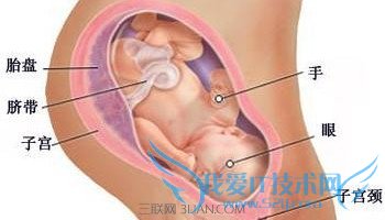 ôж̥Ƿ    52IJĸӤ