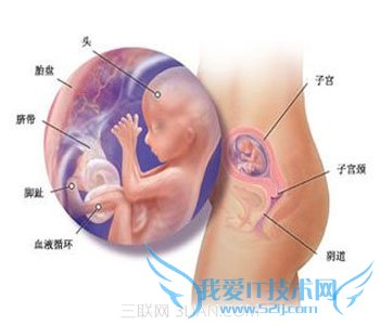 怀孕四个月肚子疼的影响 52IJ母婴教育