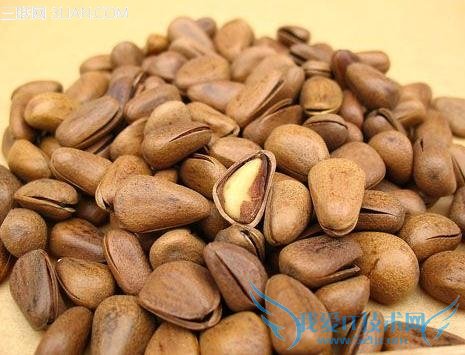 孕妇能吃松子吗 52IJ母婴教育